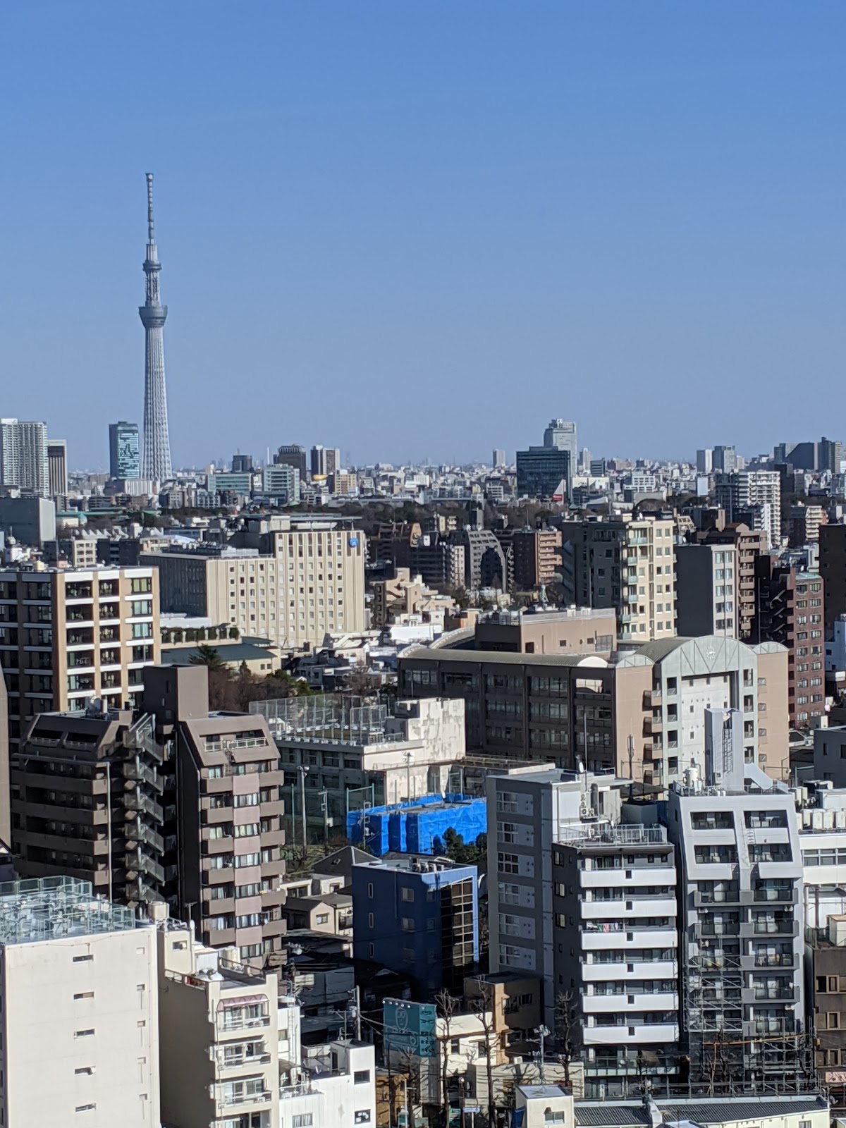 Toyo University photo 9