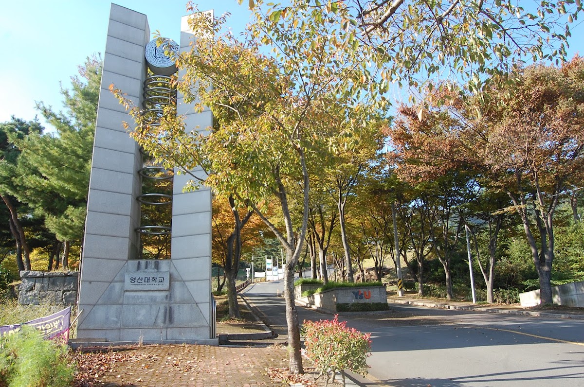 Youngsan University photo 4