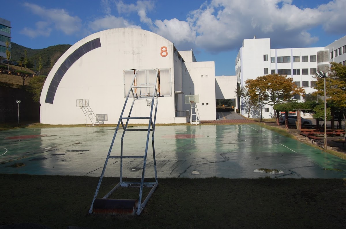 Youngsan University photo 5