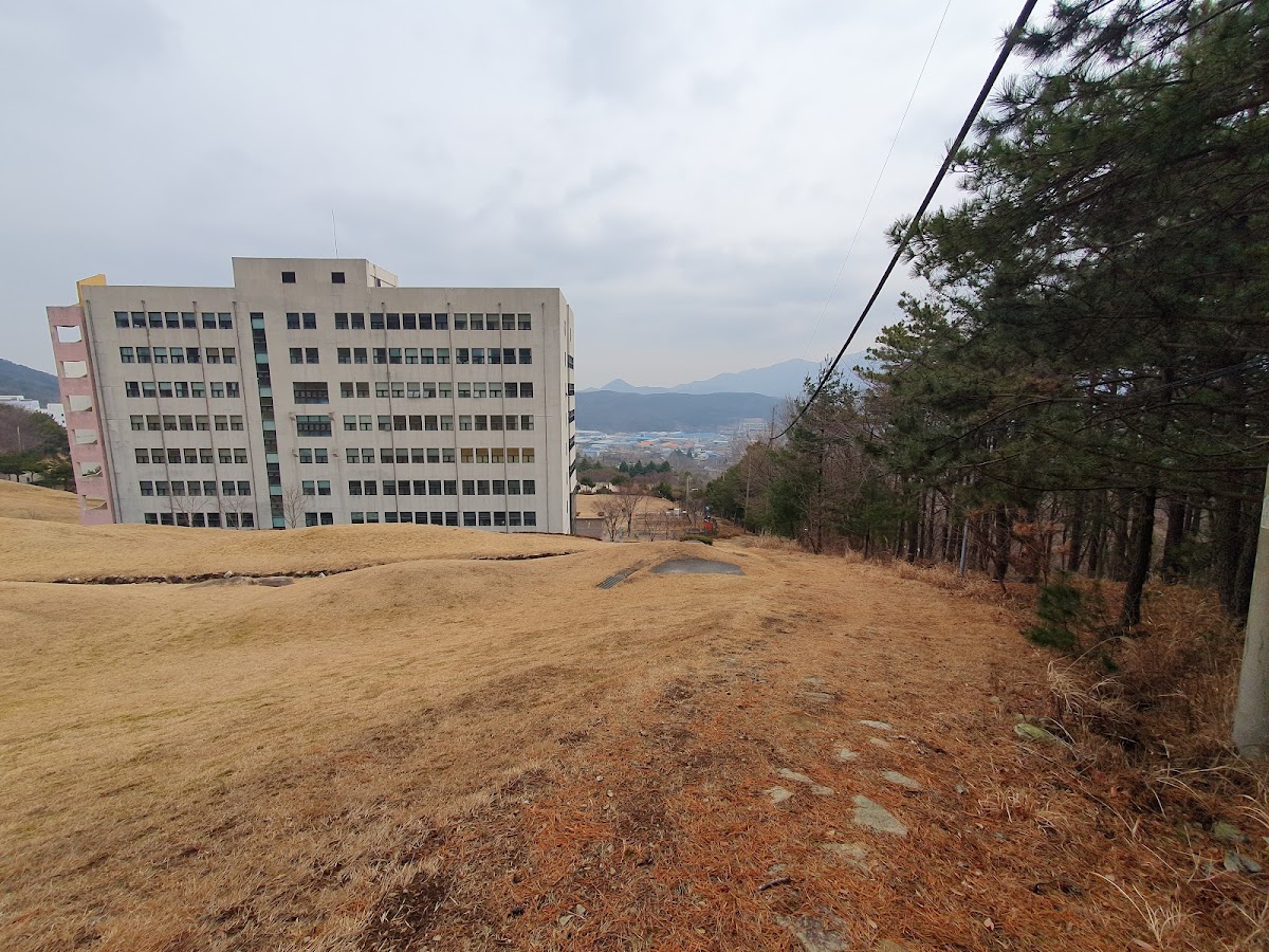 Youngsan University photo 9