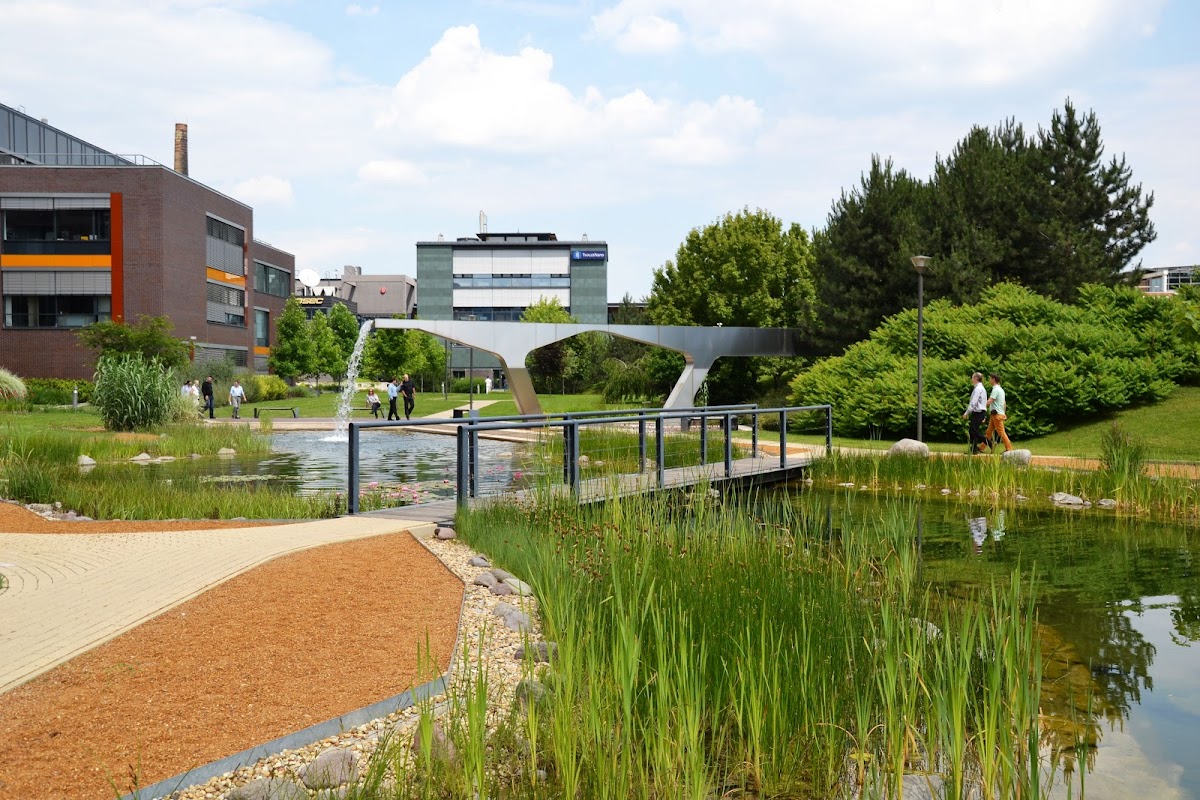 International Business School Budapest photo 4