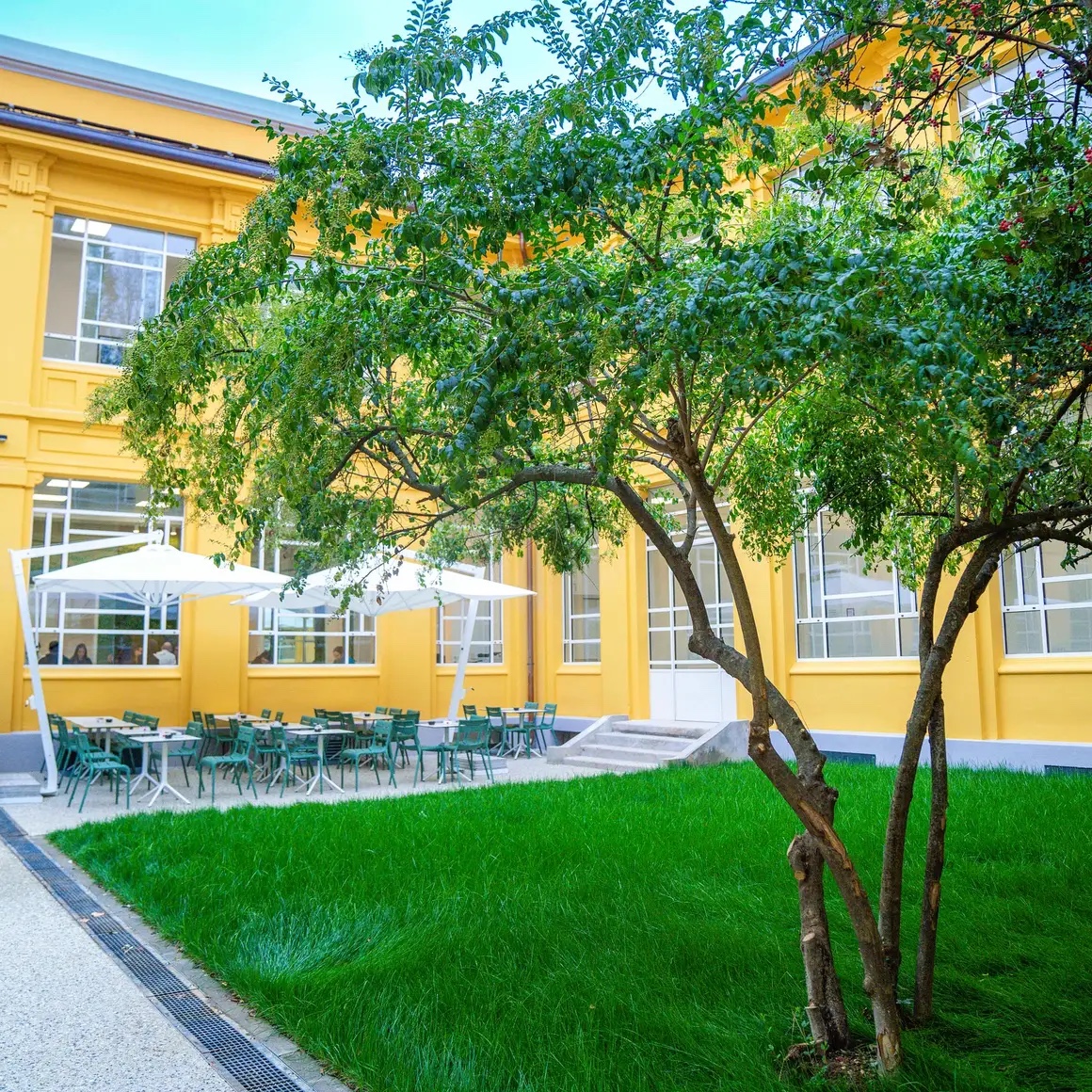 University of Pavia - Medicine photo 8