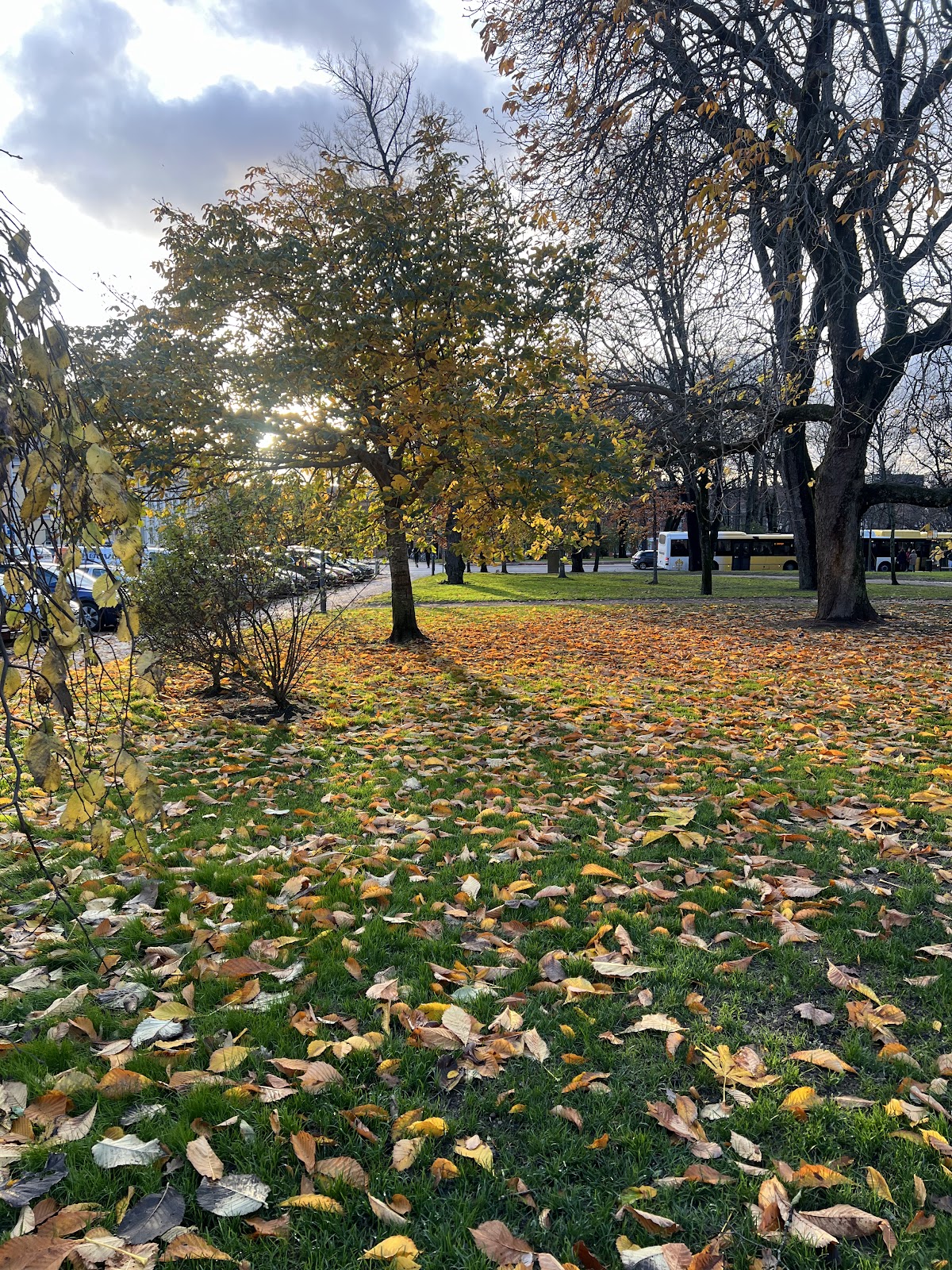 Åbo Akademi University photo 8