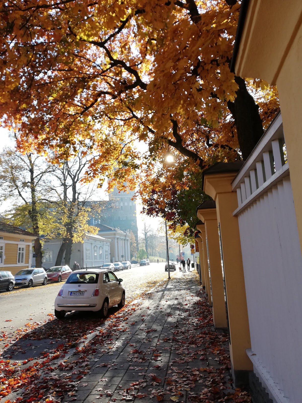 Åbo Akademi University photo 9