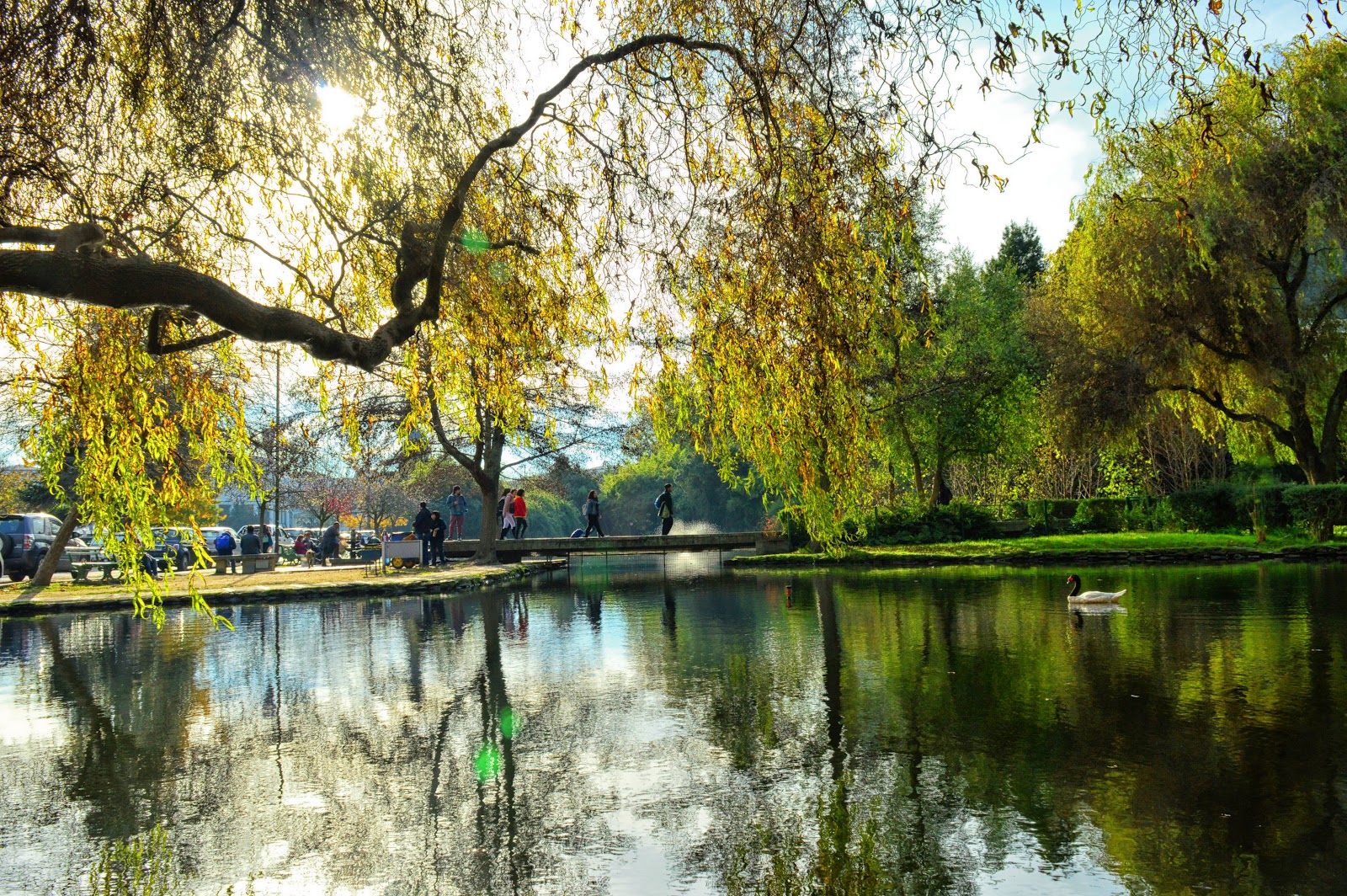 University of Concepción