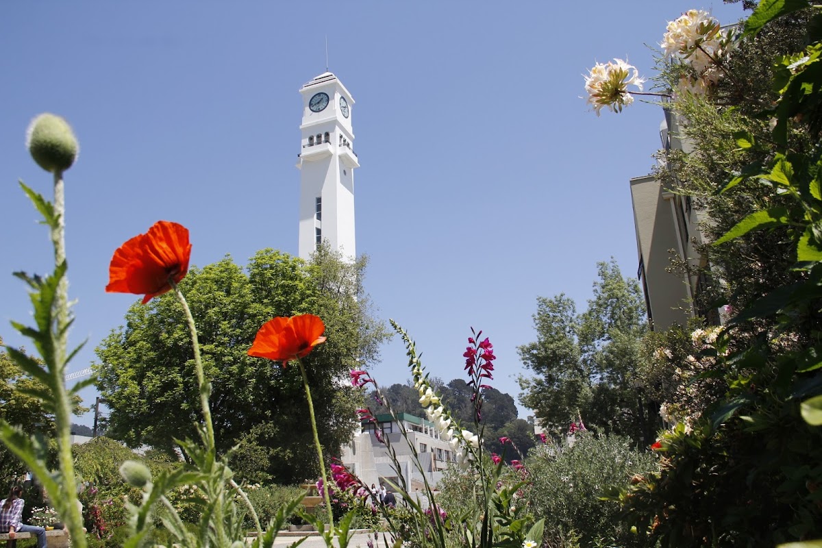 University of Concepción photo 1