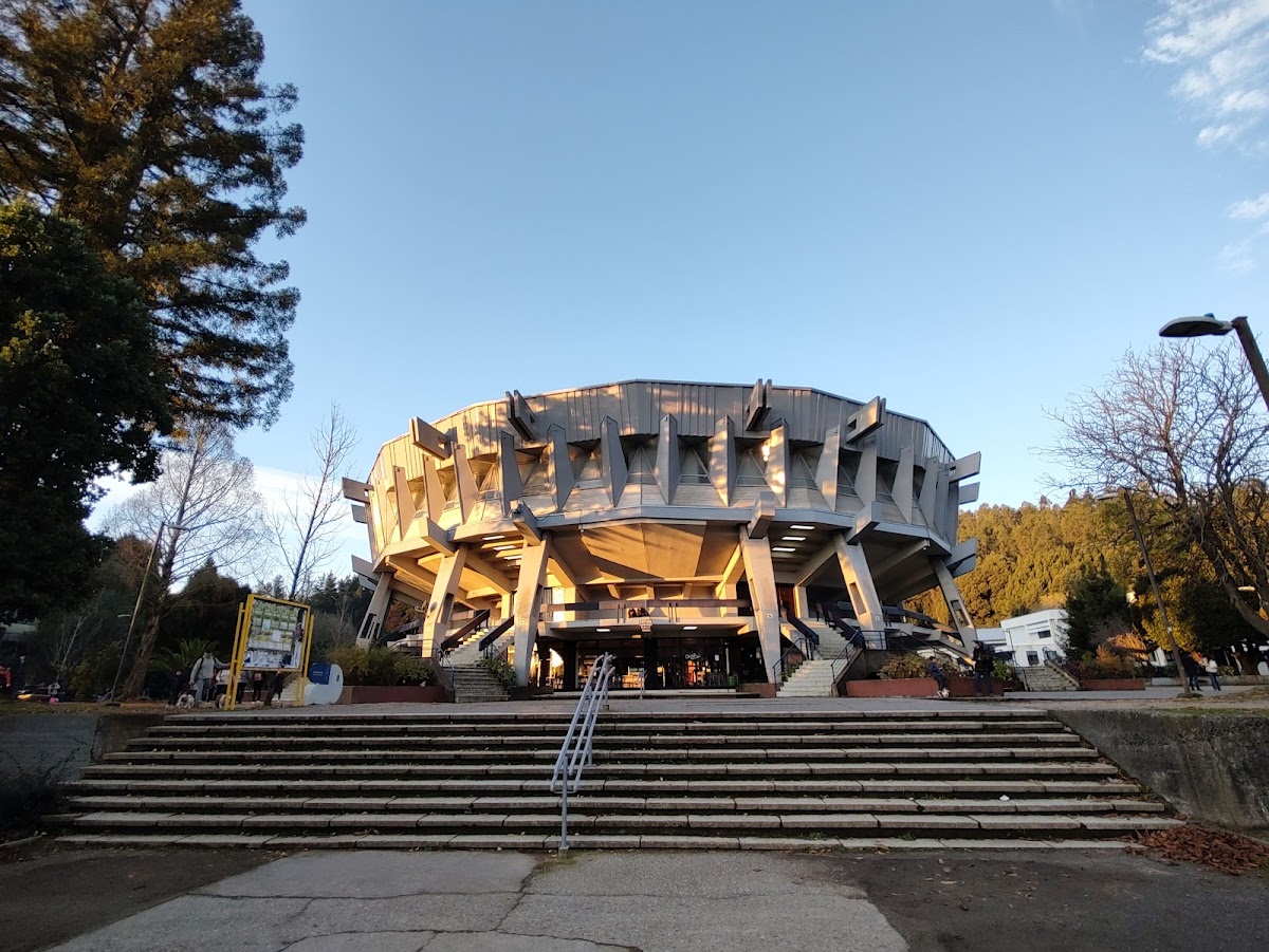 University of Concepción photo 5