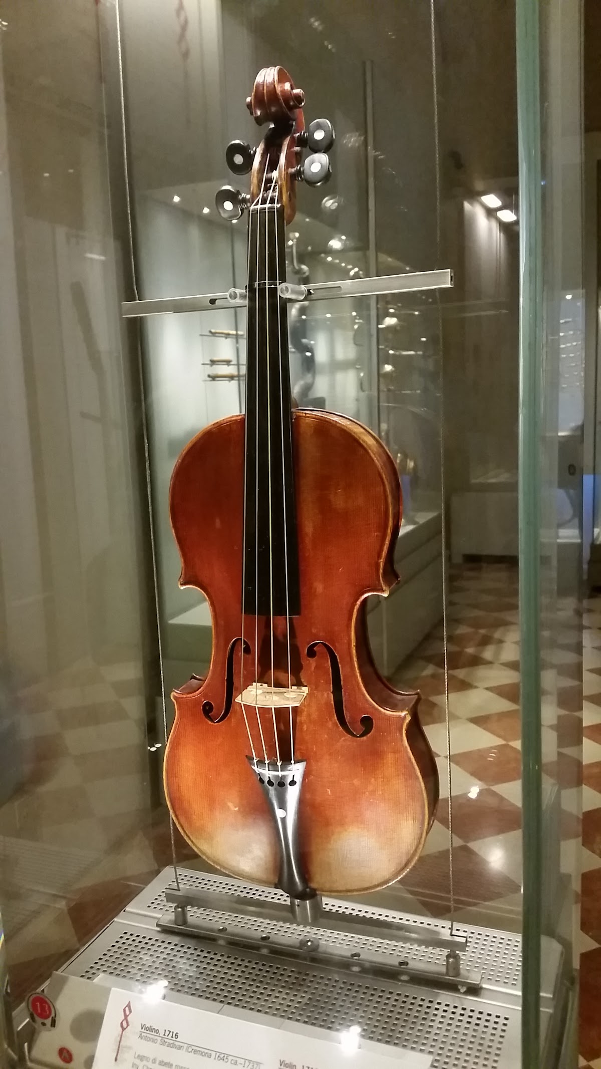 University of Florence photo 9