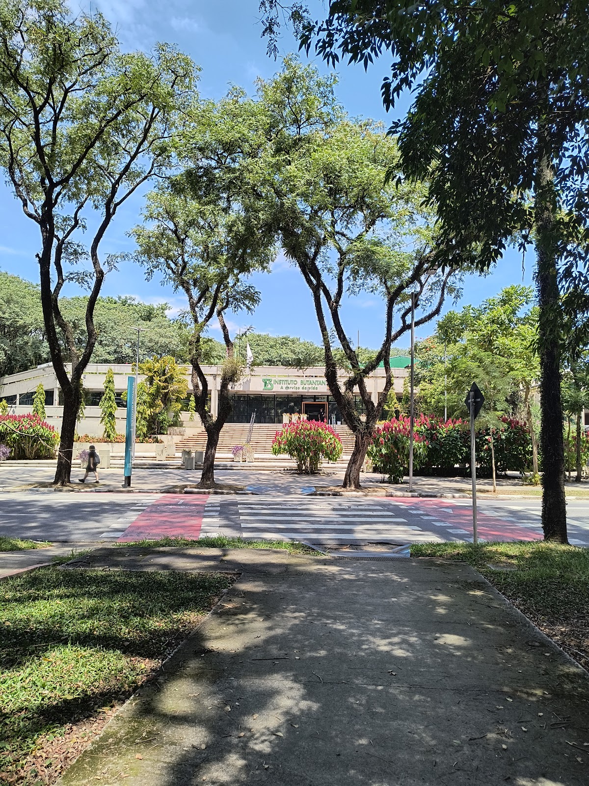 University of São Paulo photo 6
