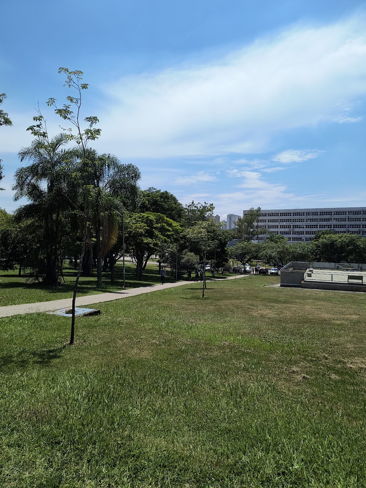 University of São Paulo photo 9