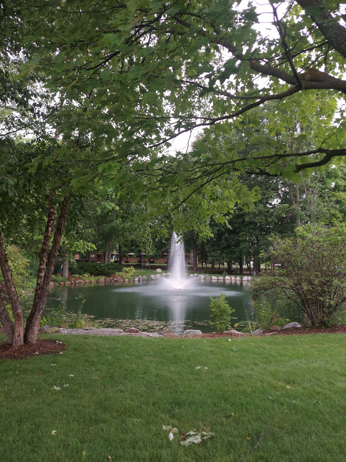 Central Michigan University photo 8