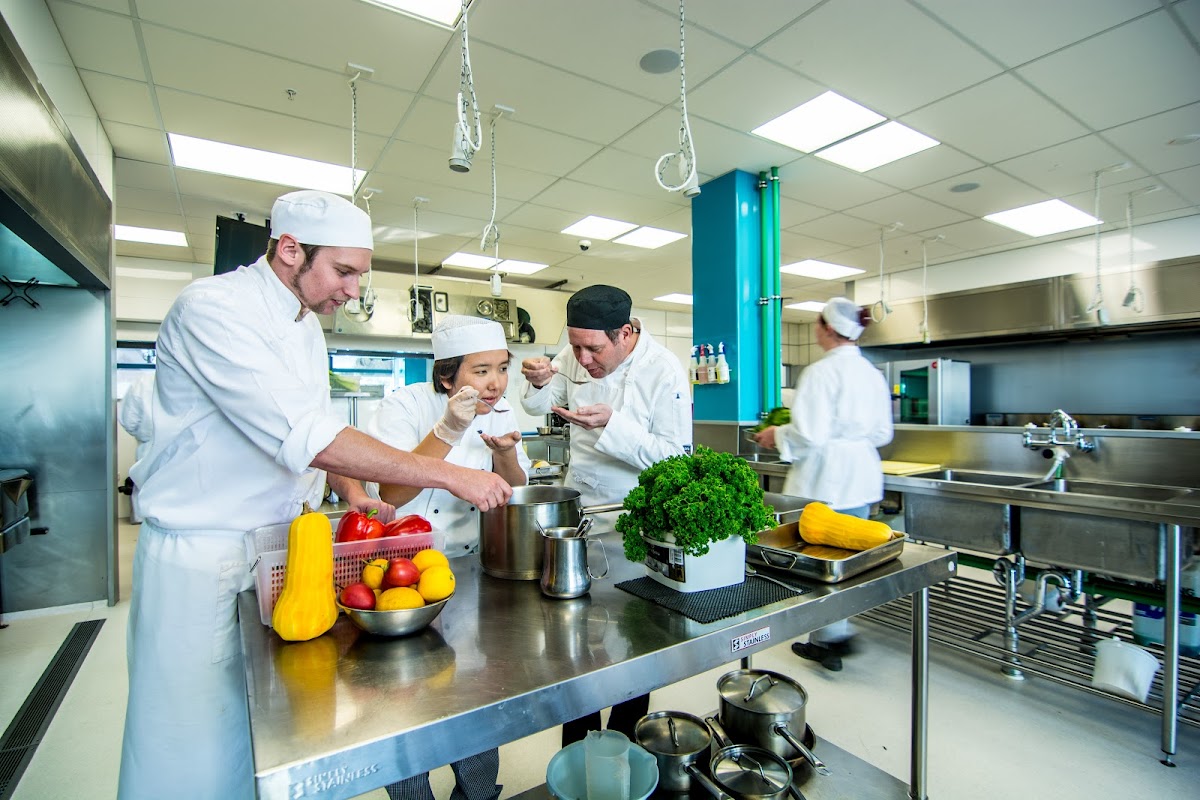 Nelson Marlborough Institute of Technology (NMIT) photo 6