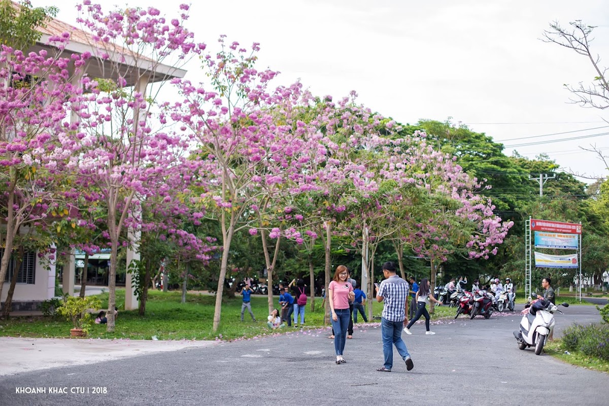 Can Tho University photo 1