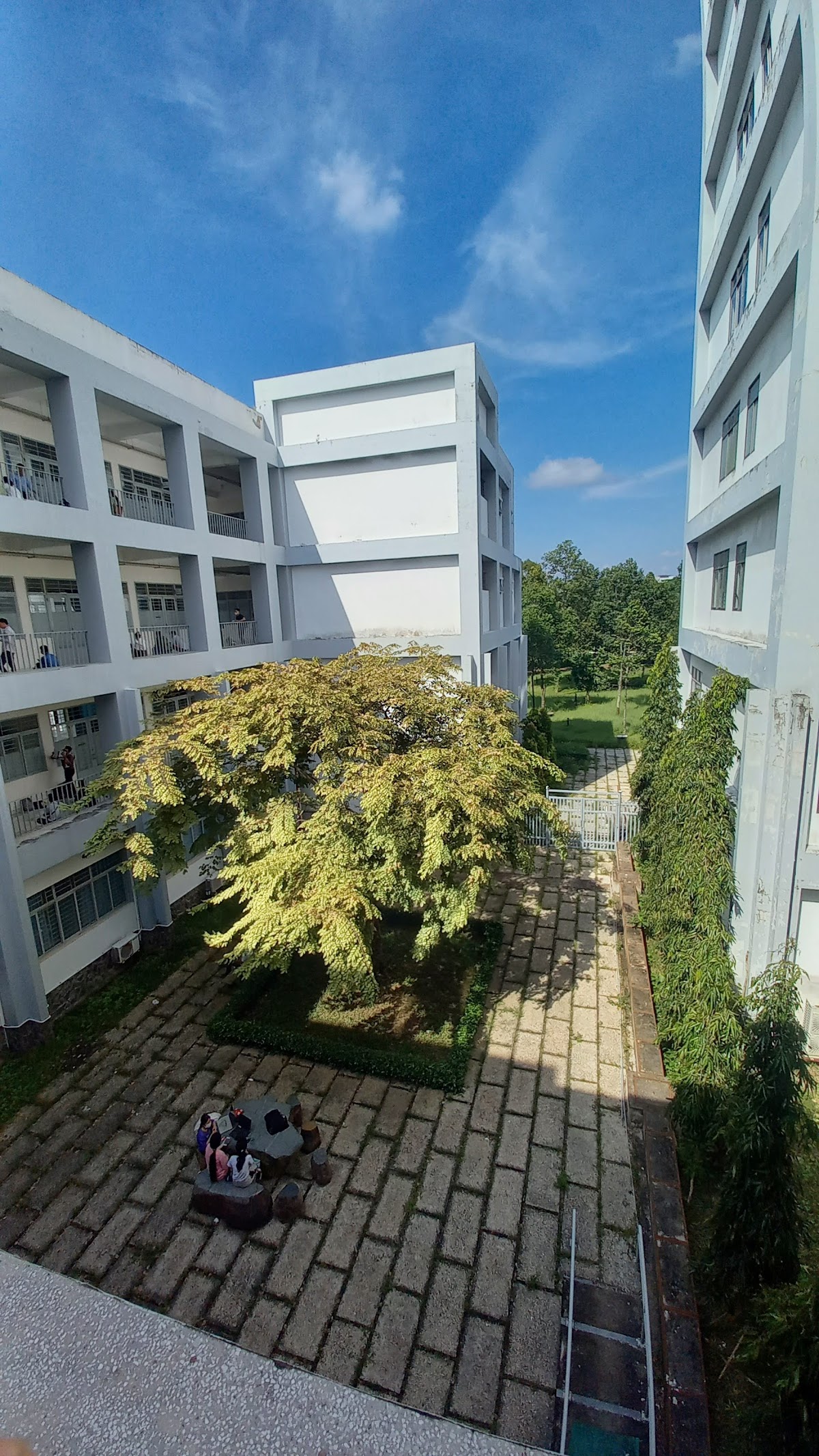 Can Tho University photo 9