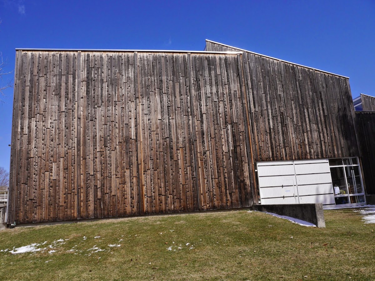 Bennington College photo 7