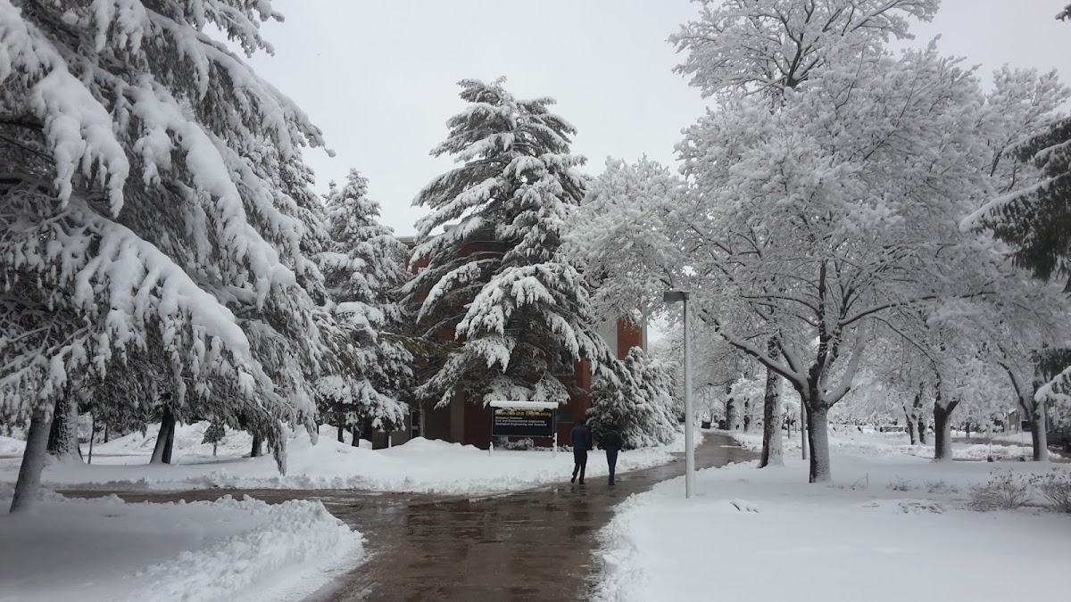 Michigan Tech photo 1