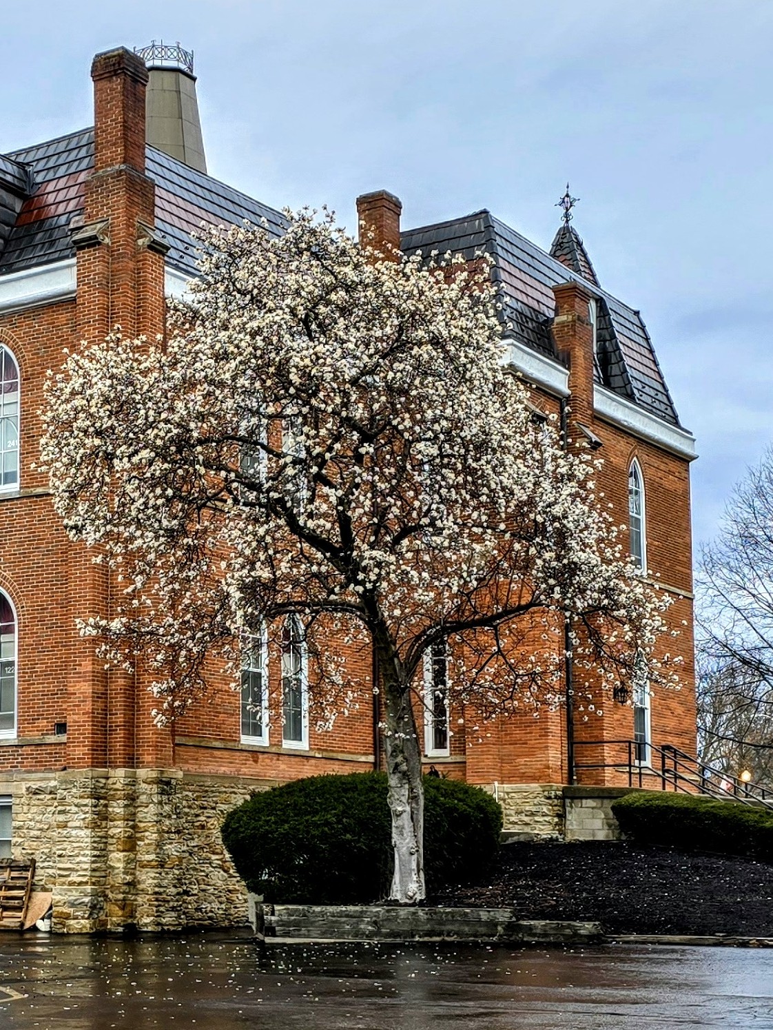 Otterbein College photo 6