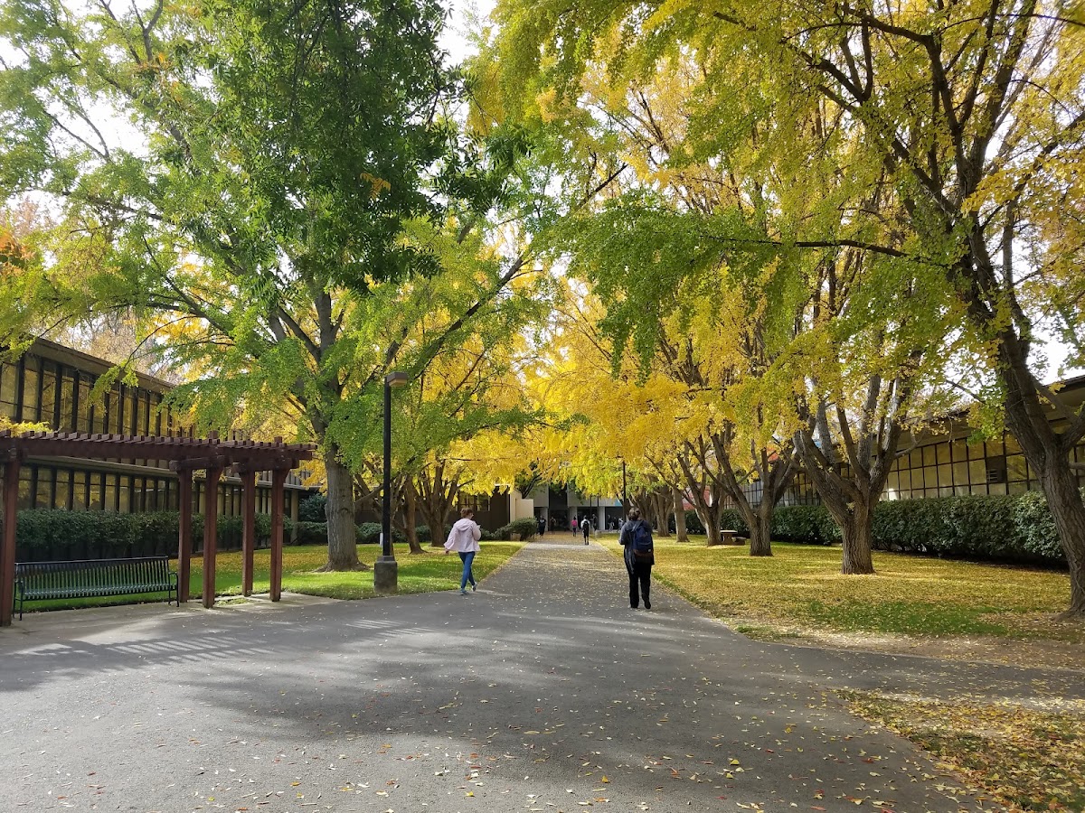 California State University Sacramento photo 2