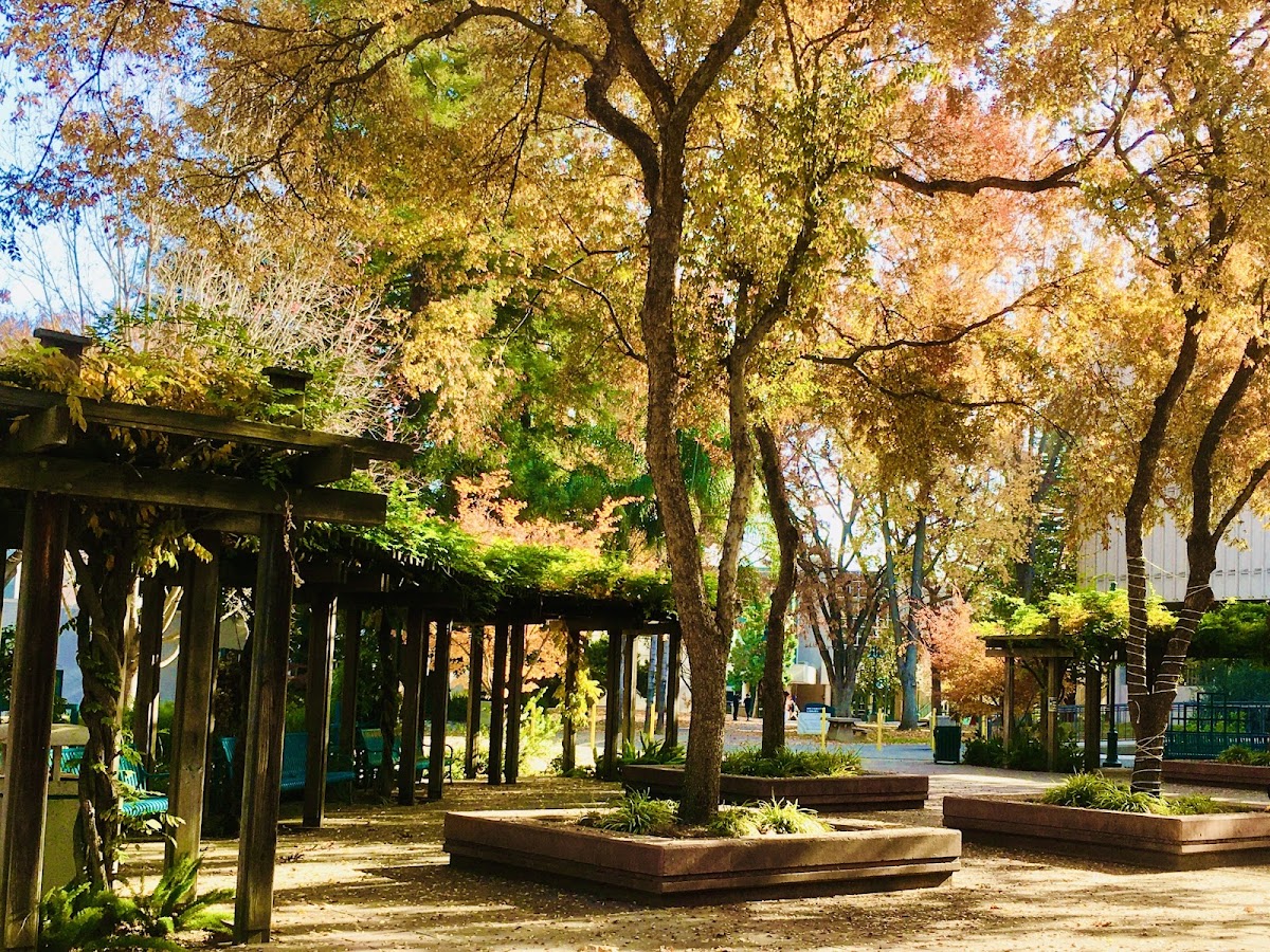 California State University Sacramento photo 4