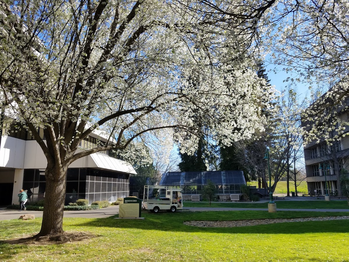 California State University Sacramento photo 5