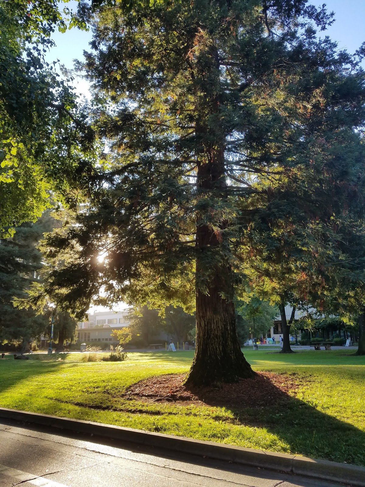 California State University Sacramento photo 9