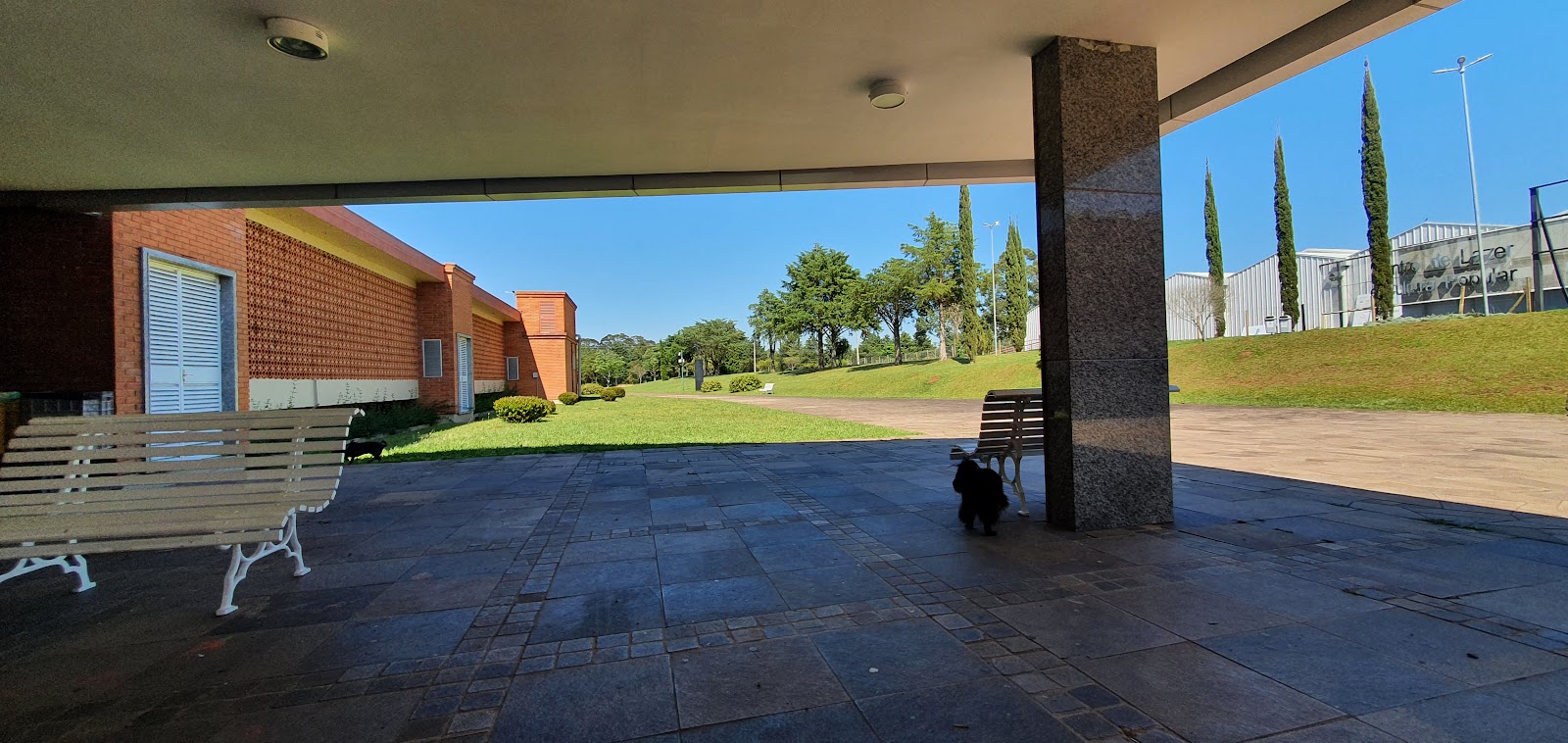 University of Passo Fundo