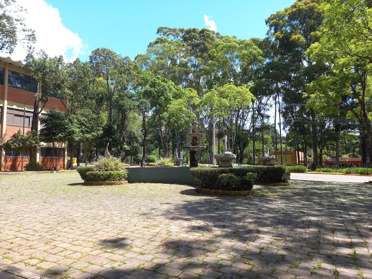 University of Passo Fundo photo 5