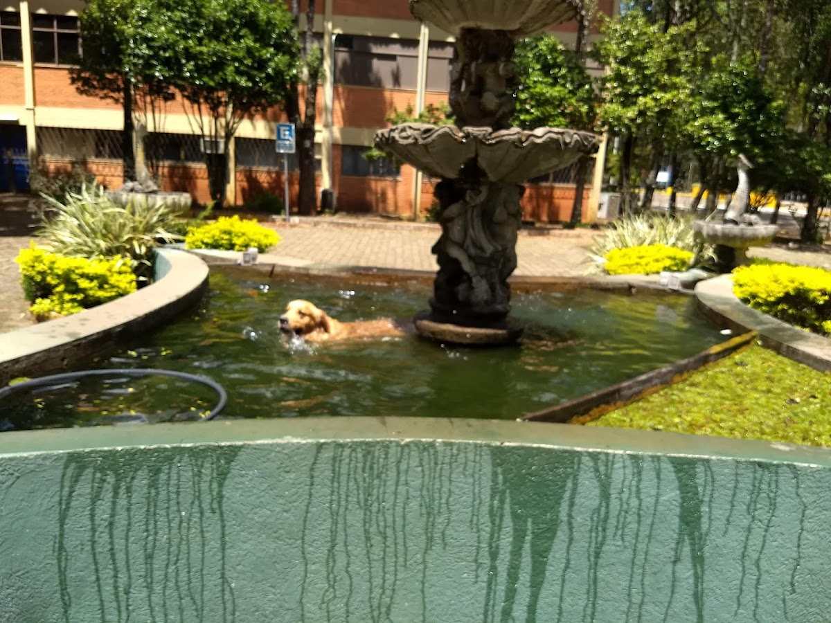 University of Passo Fundo photo 7