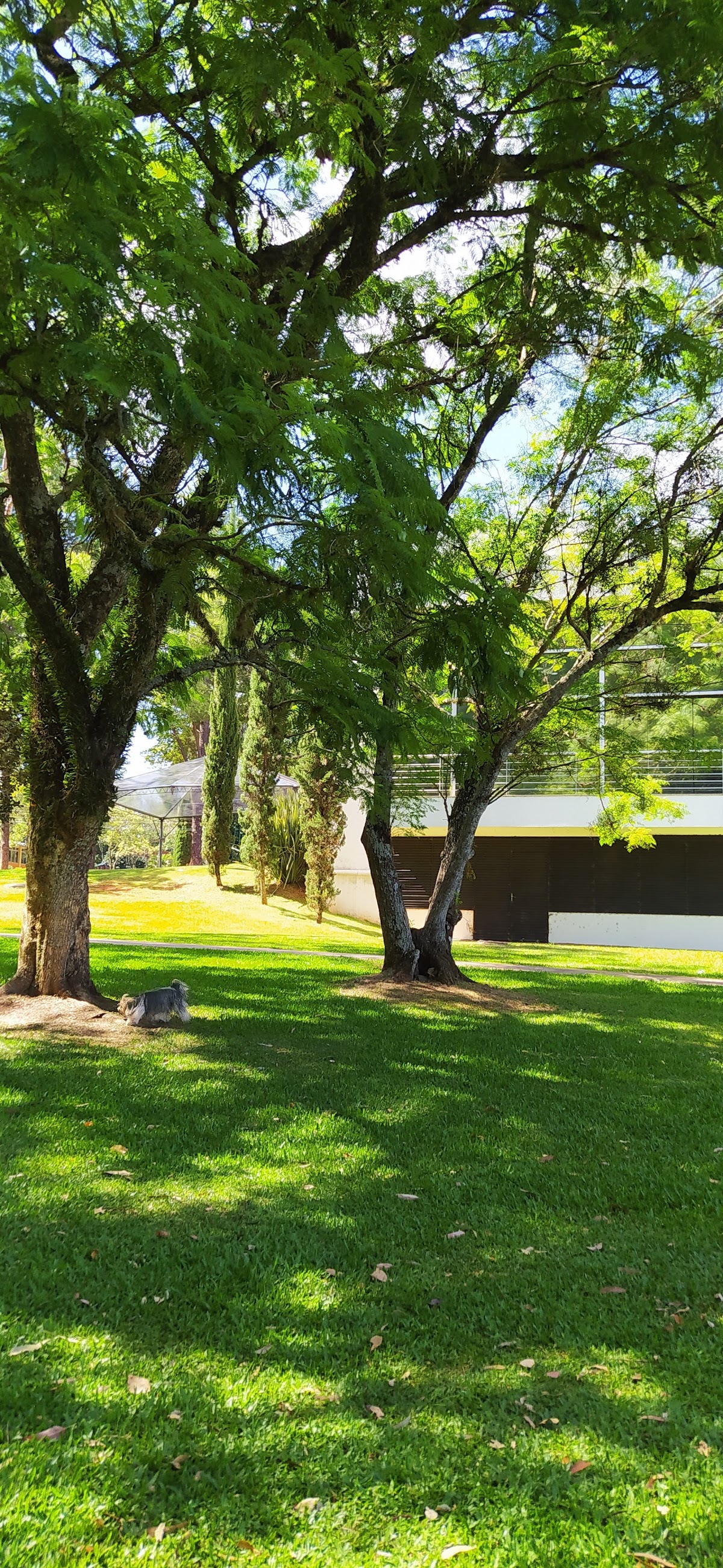 University of Passo Fundo photo 9