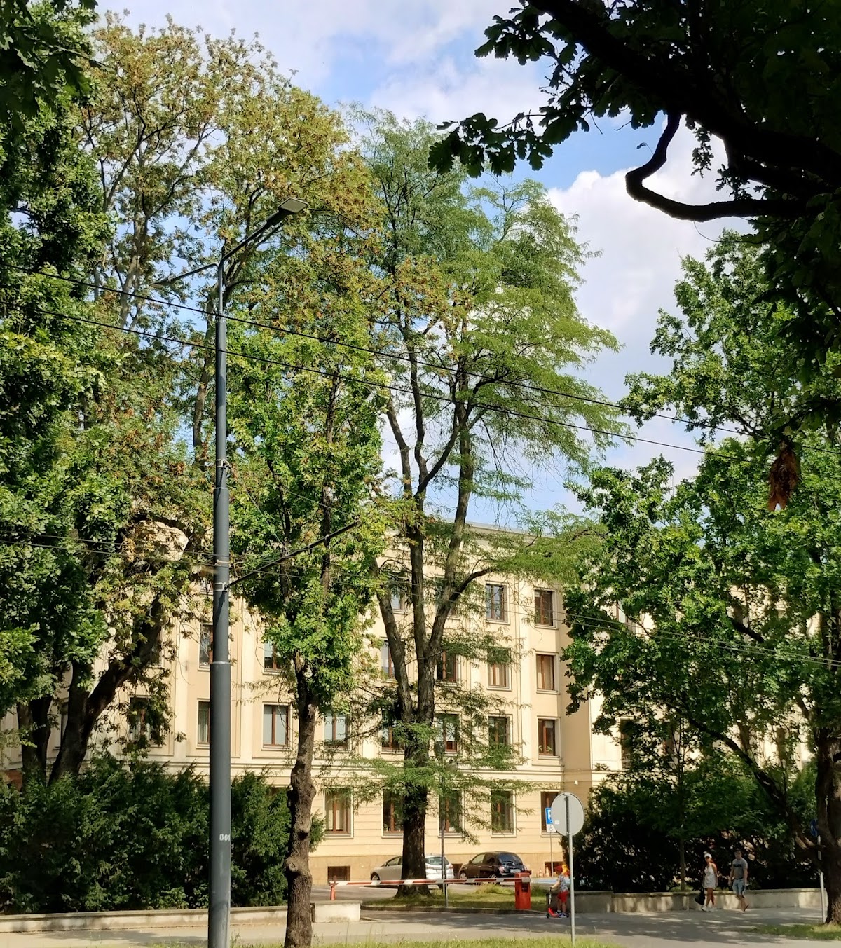 Medical University of Lublin photo 9