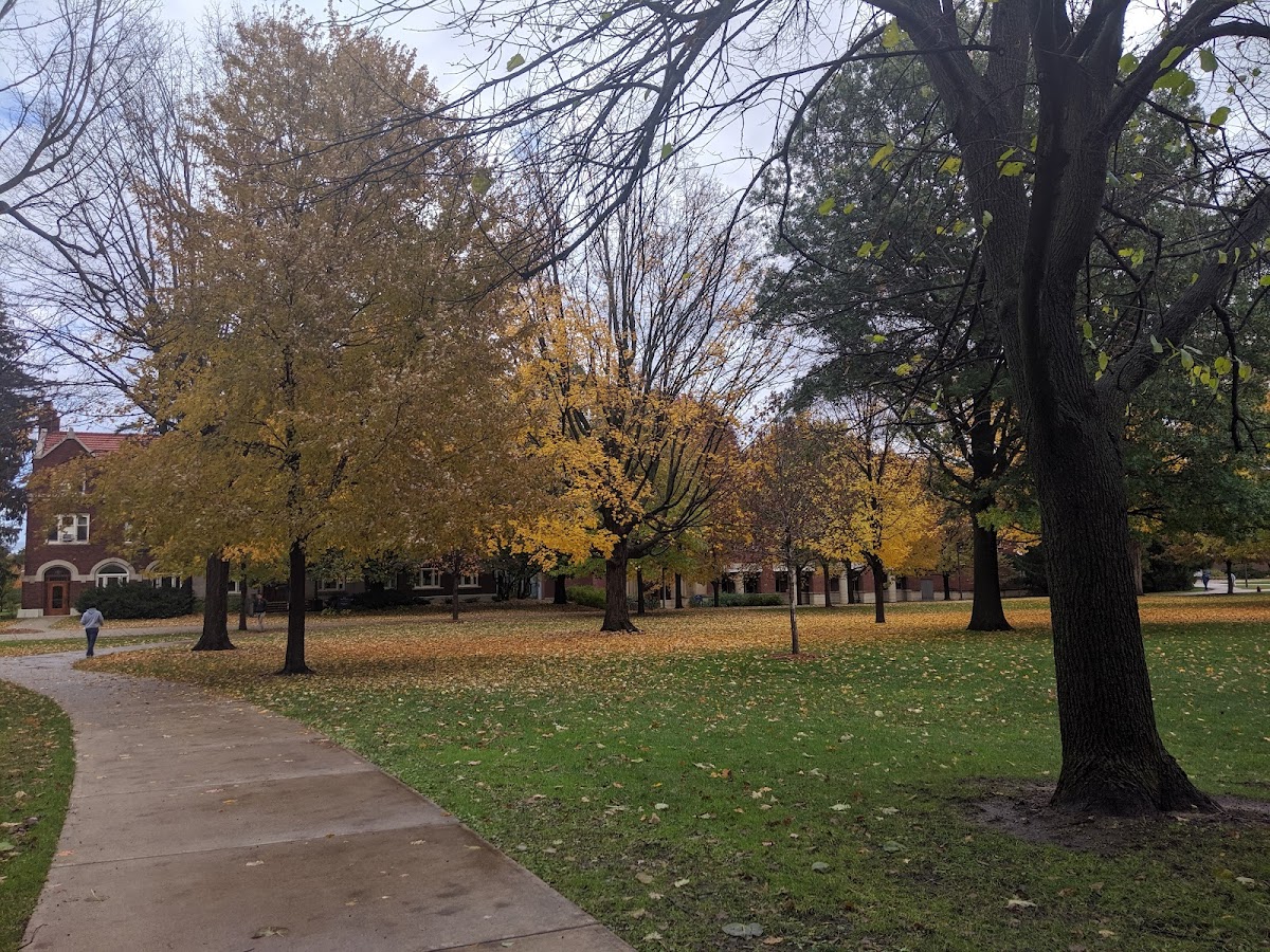 Carleton College photo 2