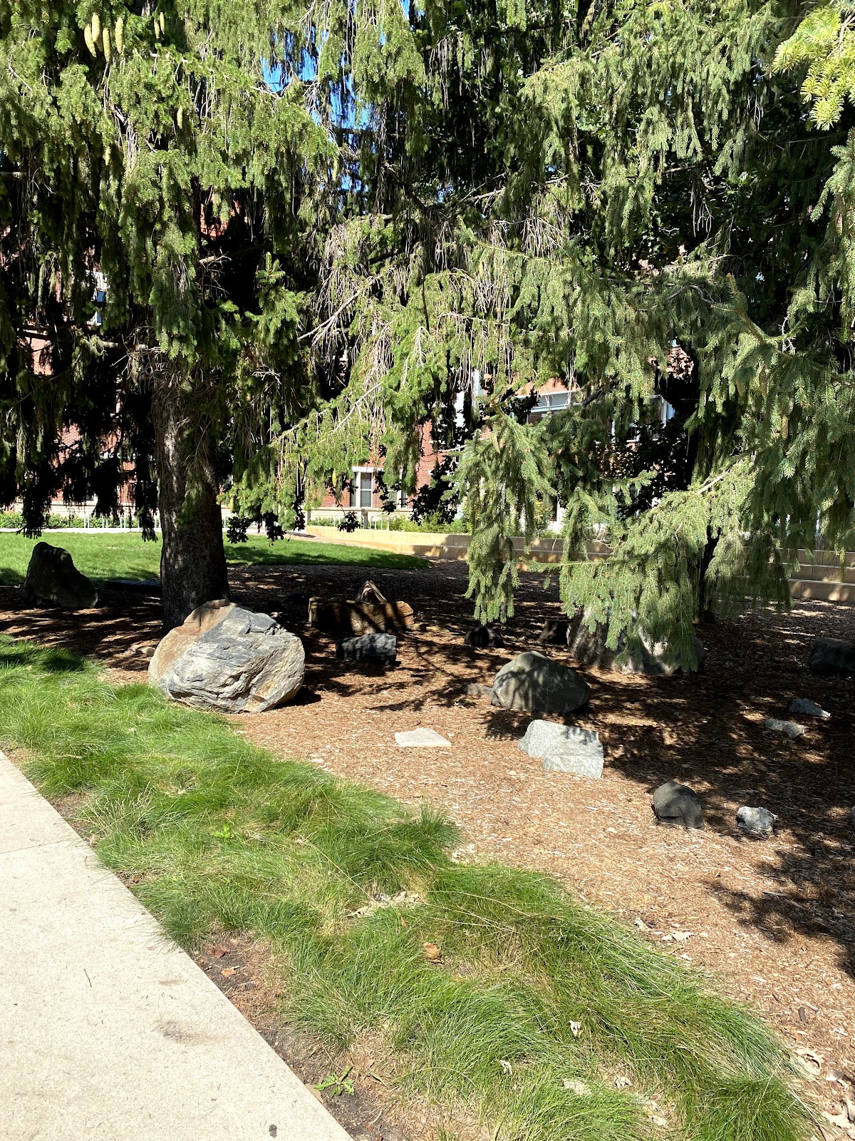 Carleton College photo 5