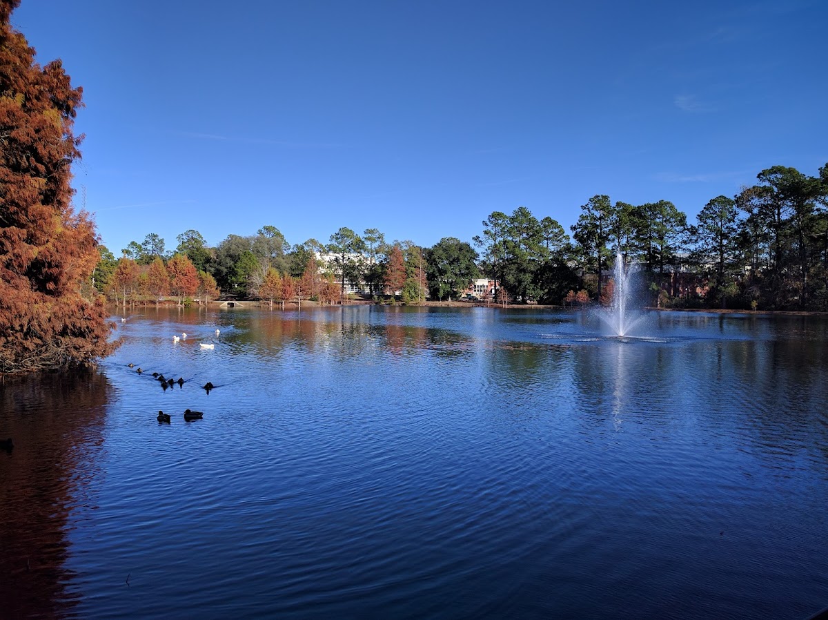 Georgia Southern photo 8