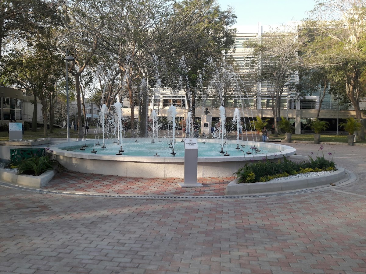 Universidad del Norte photo 6