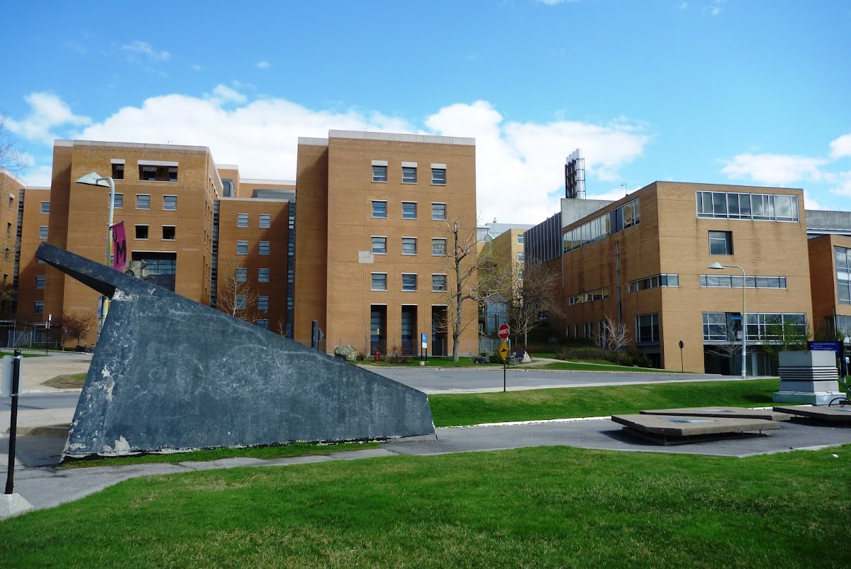 Université de Montréal photo 3