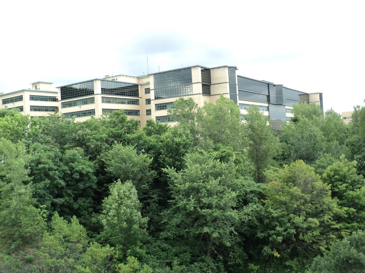 Université de Montréal photo 4