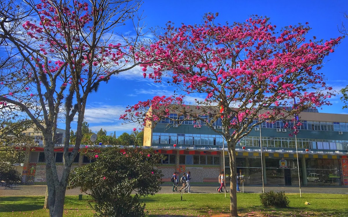 Federal University of Santa Catarina photo 4