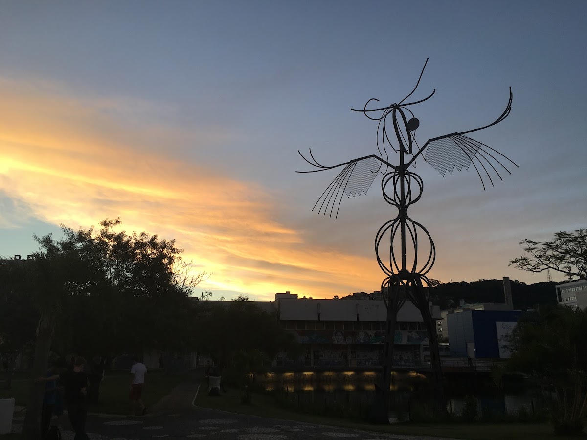 Federal University of Santa Catarina photo 8