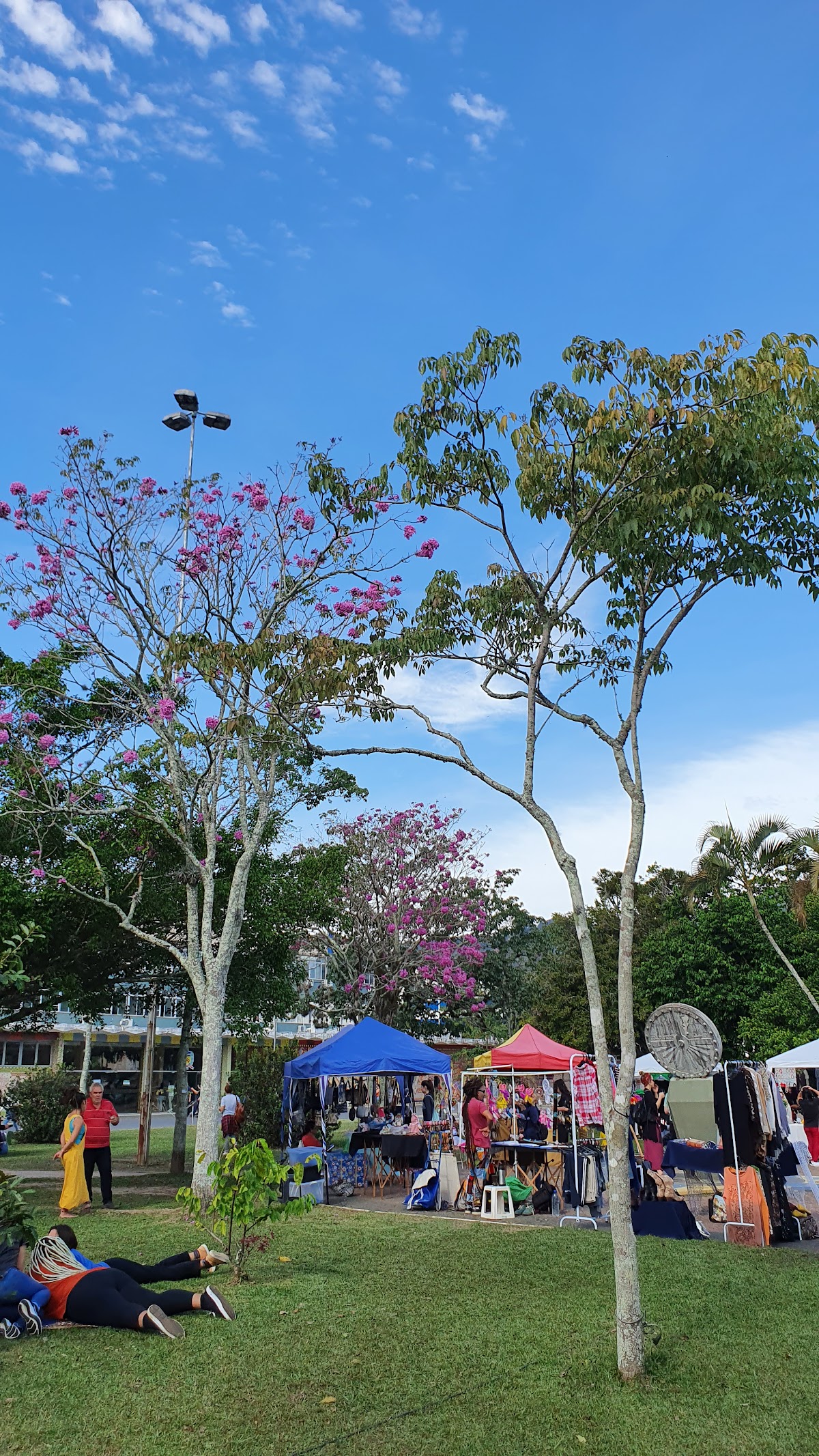 Federal University of Santa Catarina photo 9