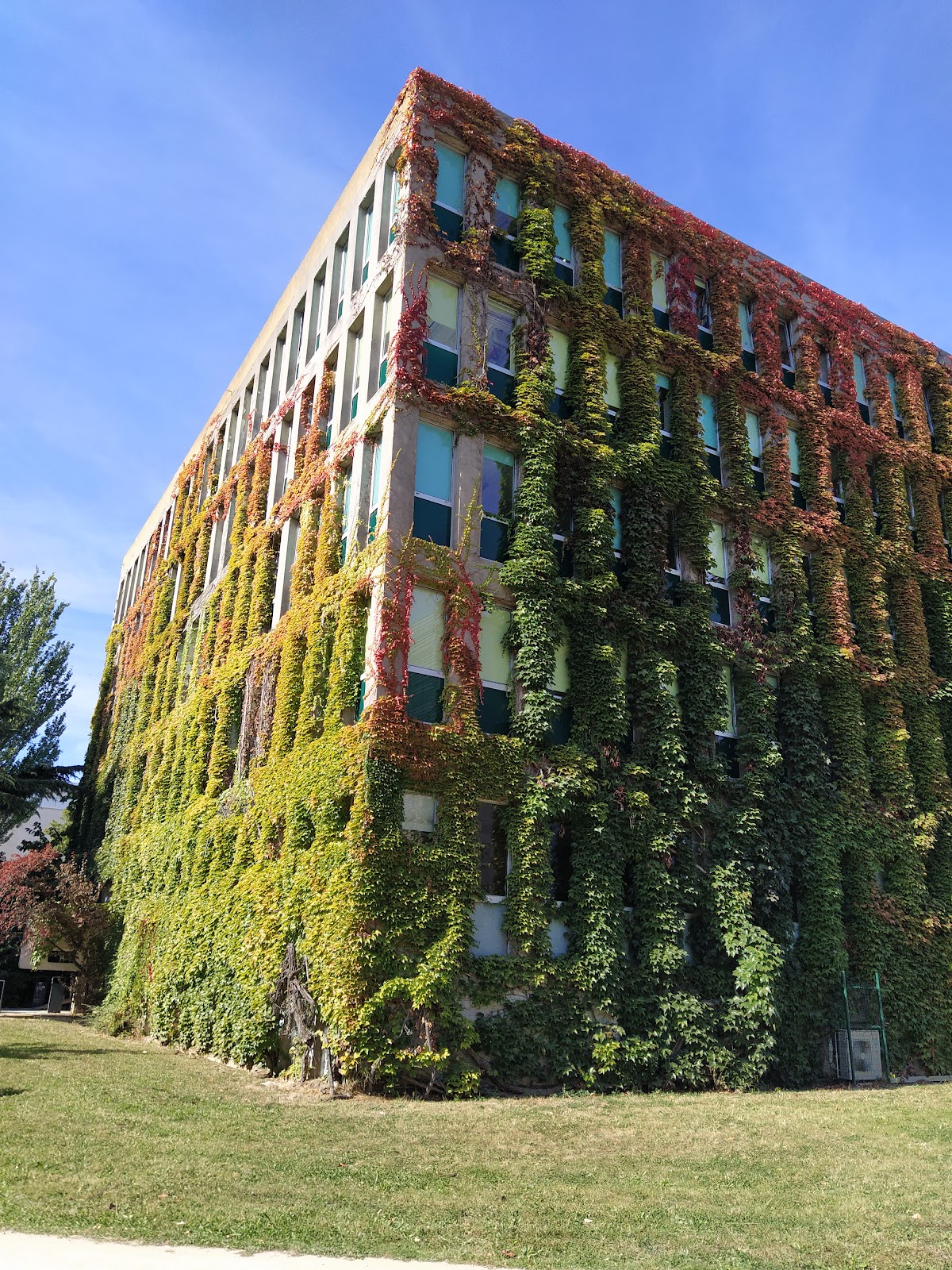 University of Strasbourg photo 9