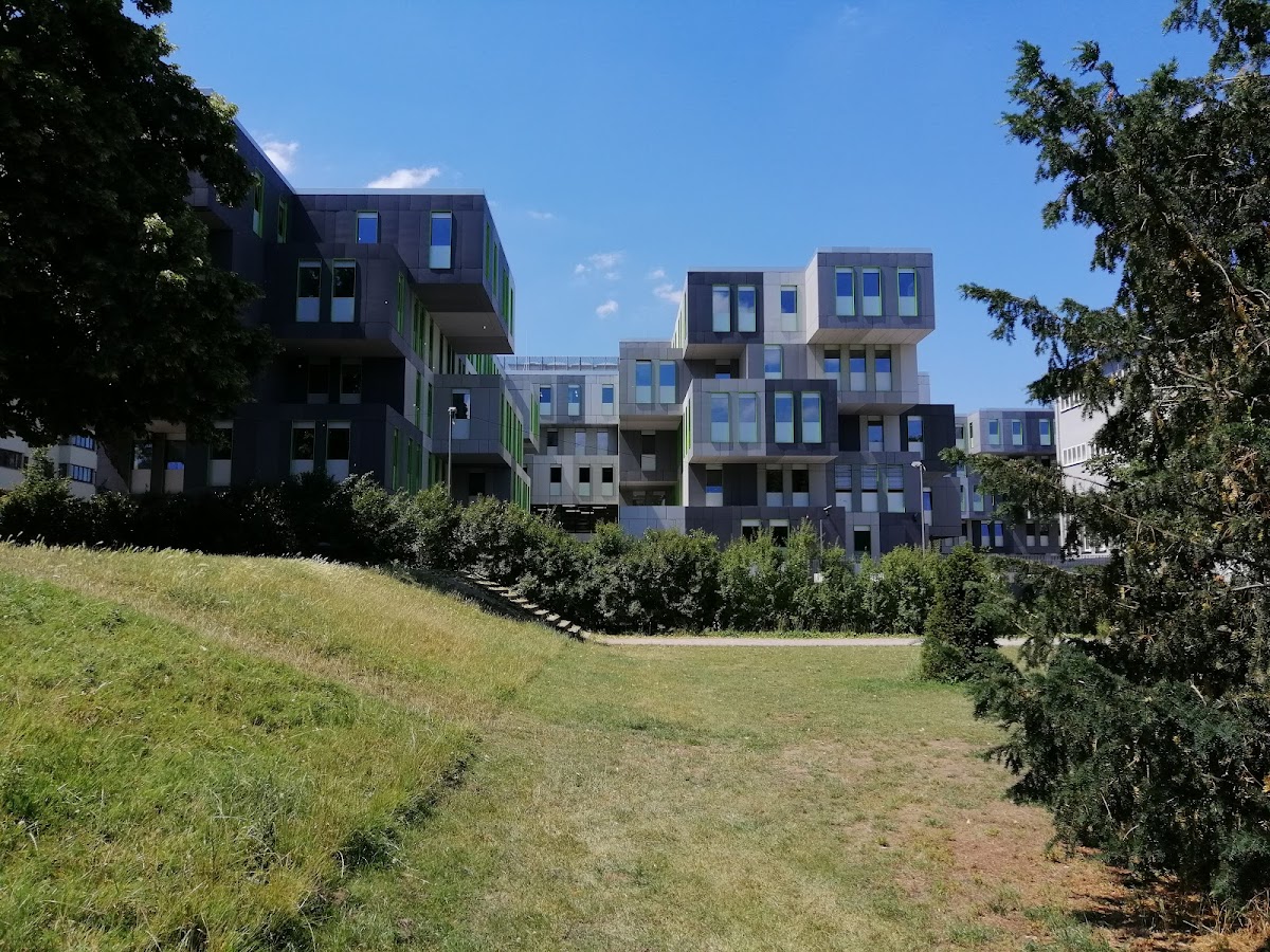 University of Cologne photo 5