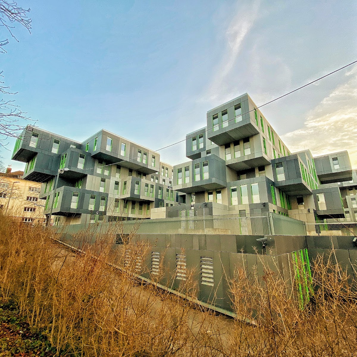 University of Cologne photo 6