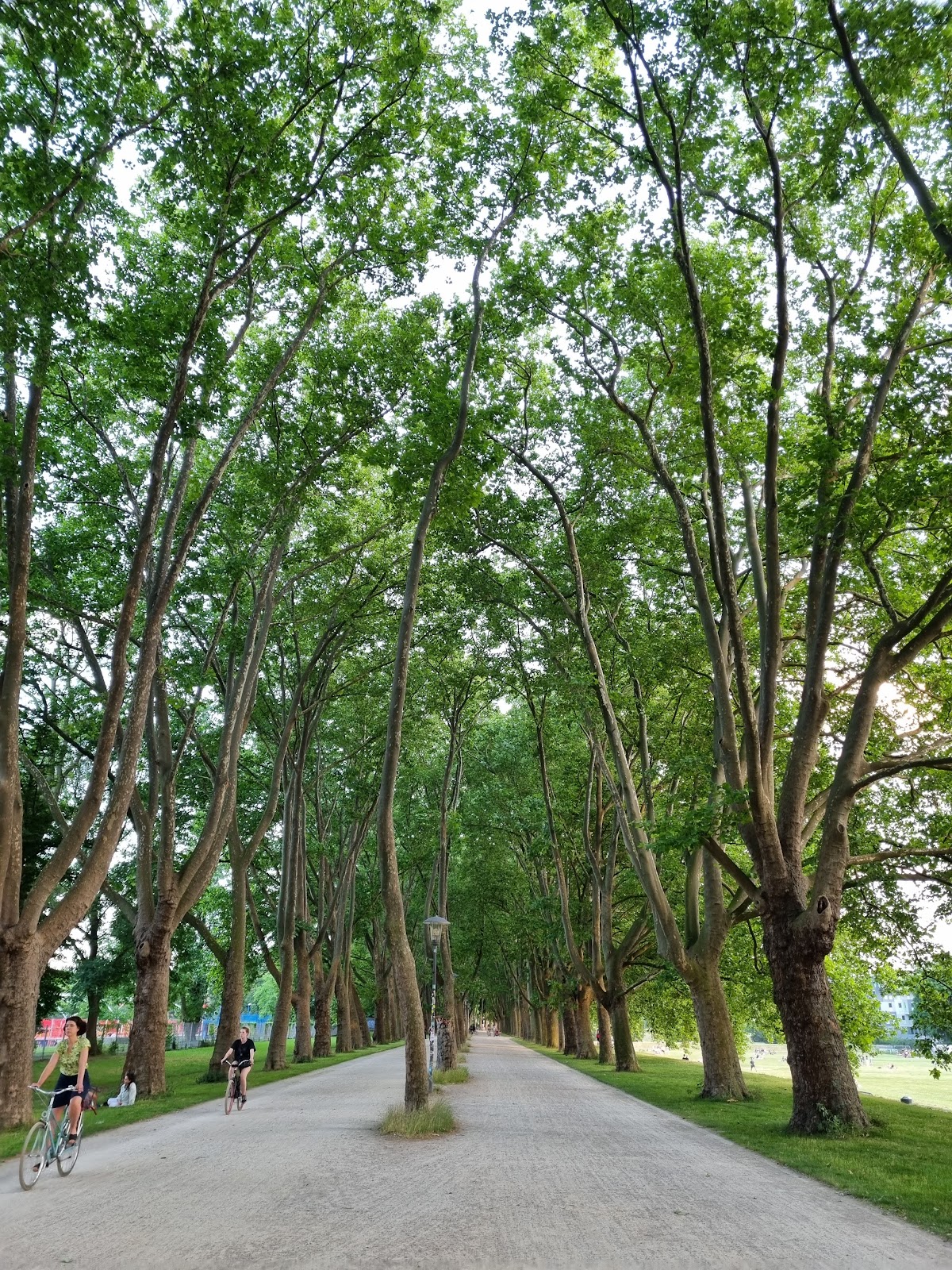 University of Cologne photo 9