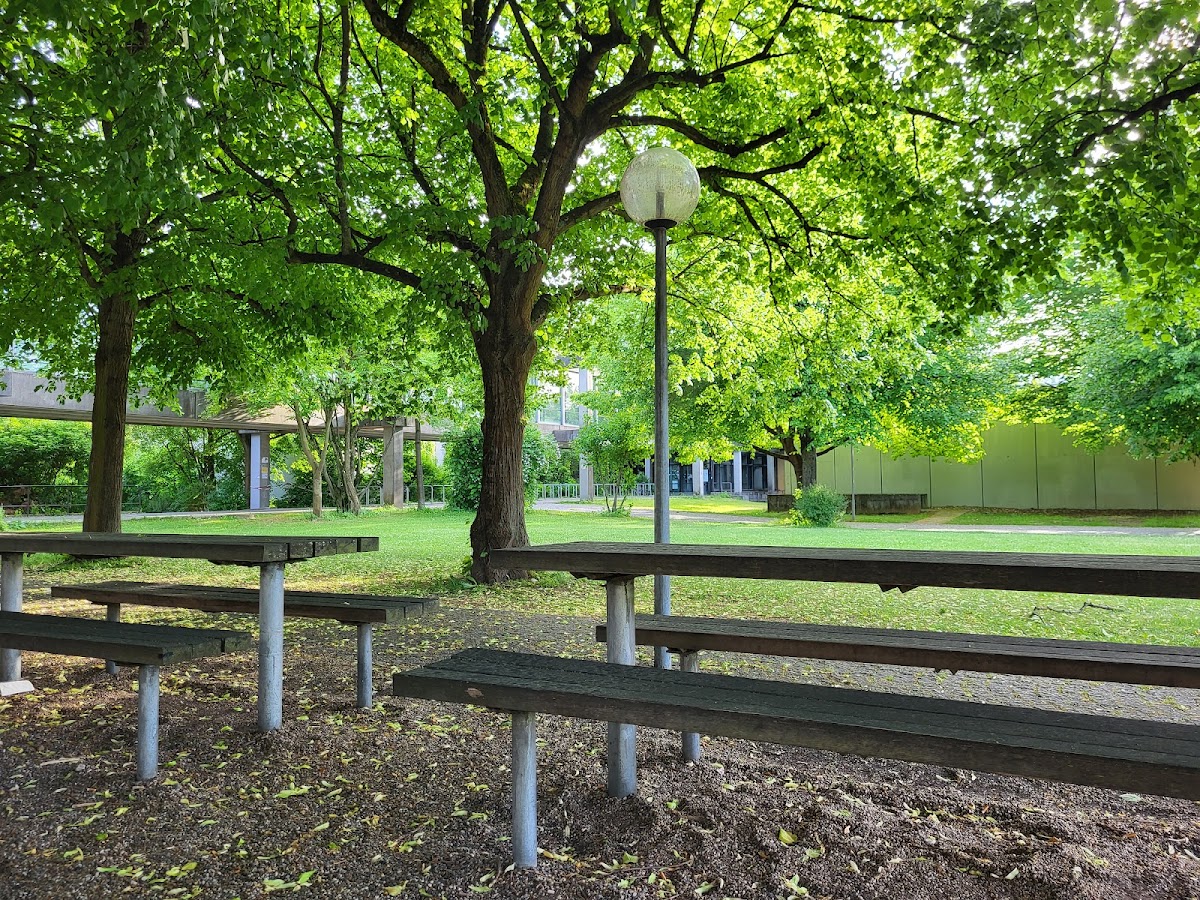 University of Regensburg photo 6