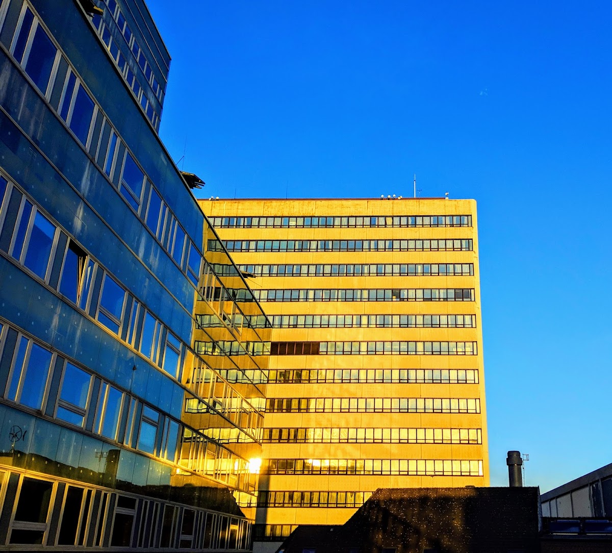 Hochschule für Angewandte Wissenschaften Hamburg photo 4