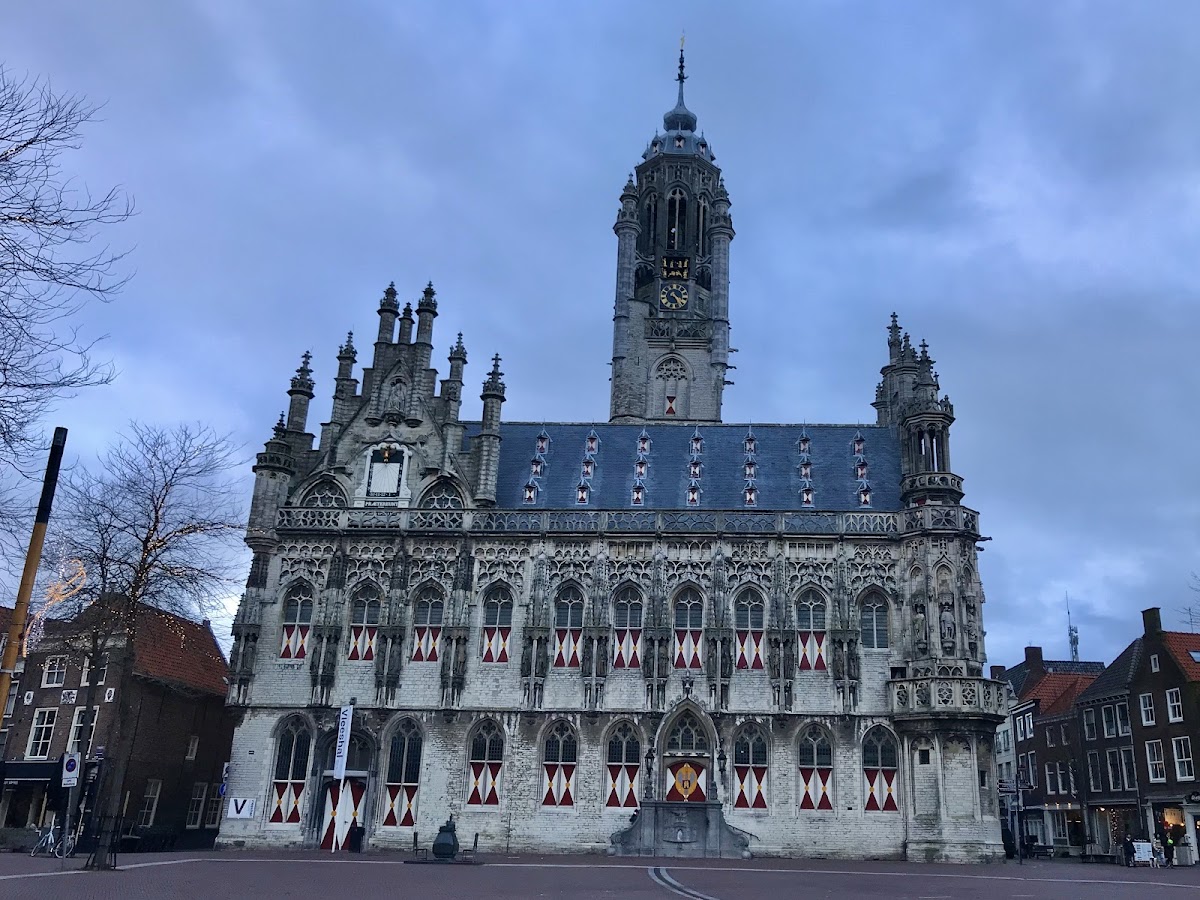 University College Roosevelt photo 3