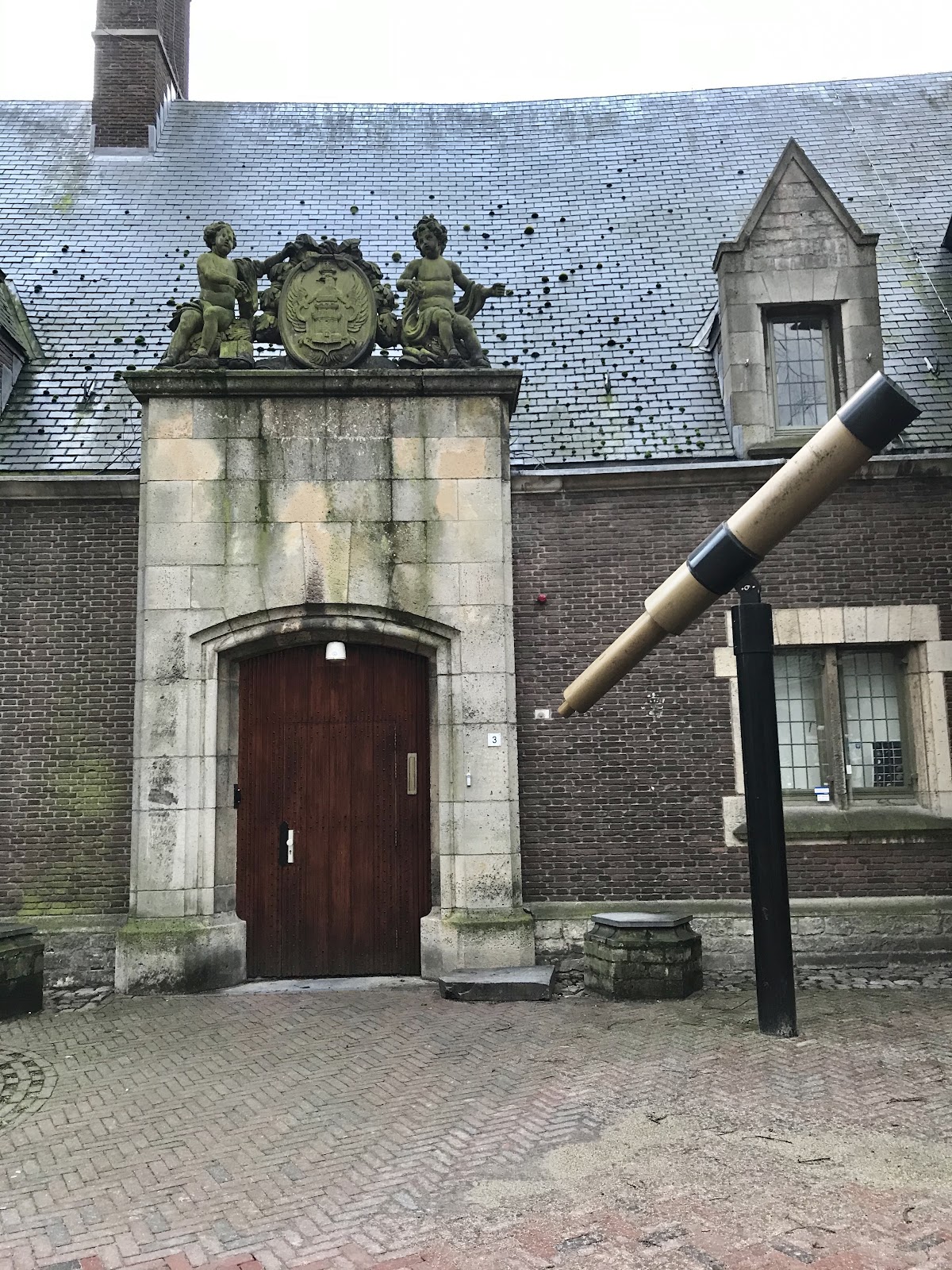 University College Roosevelt photo 7