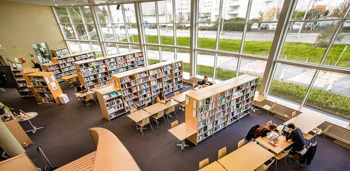 Excelia Business School photo 3