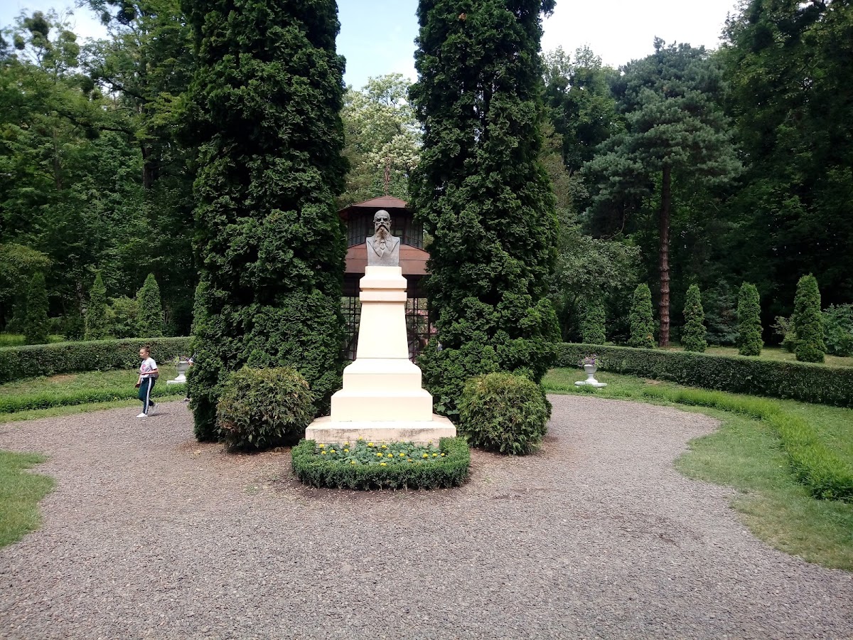 Chernivtsi National University photo 5