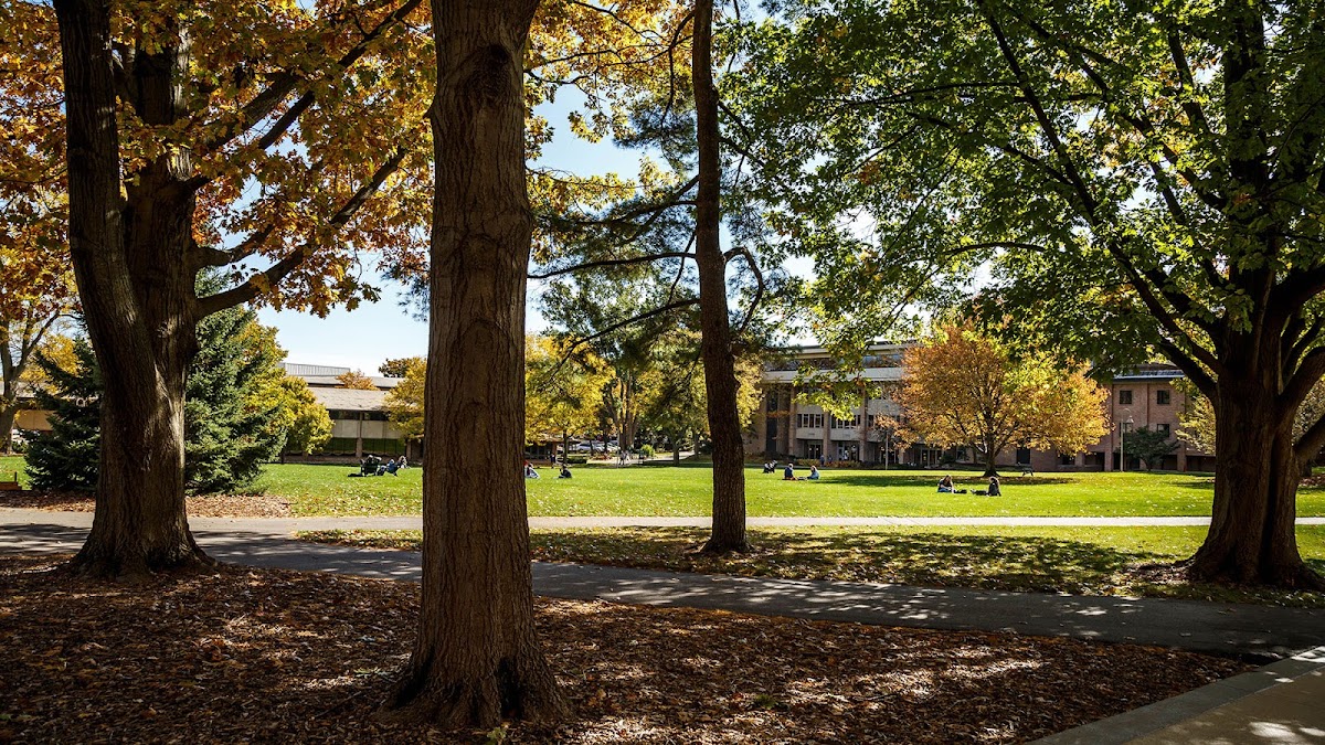 Calvin College photo 2